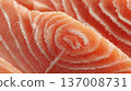 Extreme close-up of raw salmon fillet highlighting marbling and freshness, high-quality seafood texture background. 137008731