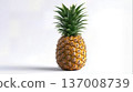 Whole fresh pineapple isolated on white background, tropical fruit with textured skin and green crown. 137008739