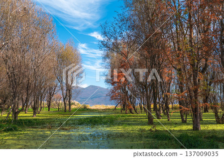 Erhai Lake Landscape With Autumn Colors And Natural Beauty. 137009035