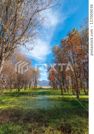 Erhai Lake Landscape With Autumn Colors And Natural Beauty. 137009036