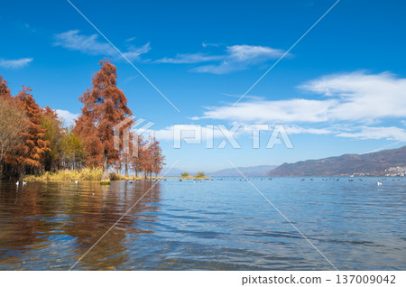 Tranquil Erhai Lake In Dali, China, With Autumn Foliage Reflections Tranquil Erhai Lake In Dali, China, With Autumn Foliage Reflections 137009042