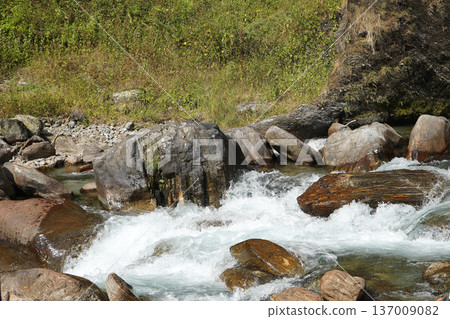 Refreshing mountain stream flowing through large mossy rocks in a lush wilderness 137009082