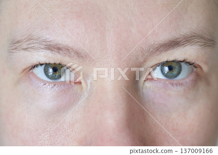 Close-up of caucasian adult male with blue eyes showcasing natural skin and facial features 137009166