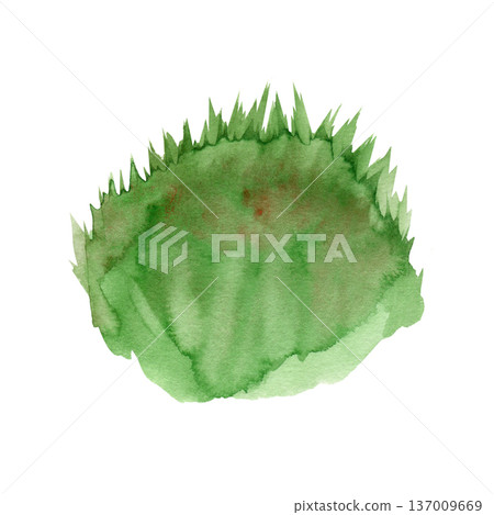 Watercolor illustration of a lush green grass tuft with organic paint texture and expressive brushstrokes. Ideal for nature-themed designs, eco-friendly concepts, spring meadows, and botanical art. Watercolor illustration of a lush green grass tuft with organic paint texture and expressive brushstrokes. Ideal for nature-themed designs, eco-friendly concepts, spring meadows, and botanical art. 137009669