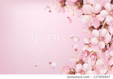 Pink Sakura Blossom Background with Bokeh 137009807