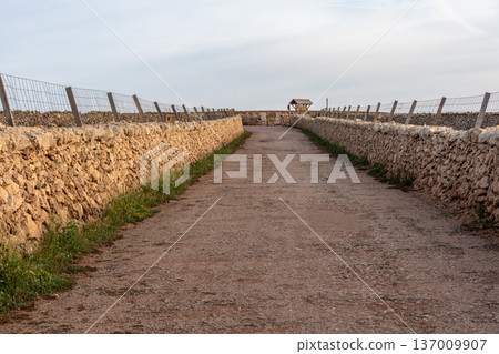 Pathway between stone walls in Menorca, leading towards the sea under a cloudy sky. 137009907