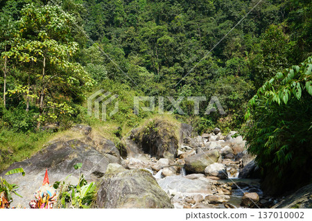 Tropical mountain stream flowing through lush green forest with religious idol in foreground Tropical mountain stream flowing through lush green forest with religious idol in foreground 137010002