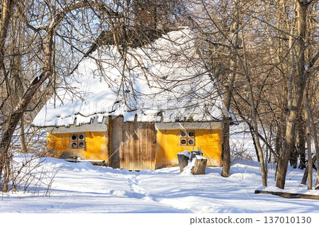 Charming yellow cottage nestled in the snowy woods during a bright winter's day 137010130