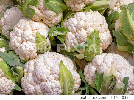 Fresh organic cauliflower detail Fresh organic cauliflower detail 137010354