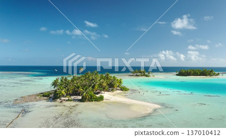French Polynesia, Rangiroa islands: Aerial view tourists swimming in turquoise lagoon surrounded by white sand beach and palm trees. Wild nature landscape. Travel background. Drone flight French Polynesia, Rangiroa islands: Aerial view tourists swimming in turquoise lagoon surrounded by white sand beach and palm trees. Wild nature landscape. Travel background. Drone flight 137010412