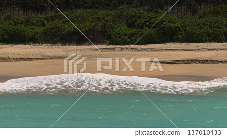 Lombok: Pantai Tomang Omang beach showing turquoise ocean waves gently breaking on the golden sand, with lush green vegetation and palm trees lining the distant shore. Tropical travel background 137010433