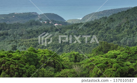 Portugal, Lisbon: Lush green forest covering the rolling hills of Sintra Cascais Natural Park, distant Atlantic Ocean and coastline under a muted sky in background. Aerial drone flight Portugal, Lisbon: Lush green forest covering the rolling hills of Sintra Cascais Natural Park, distant Atlantic Ocean and coastline under a muted sky in background. Aerial drone flight 137010587