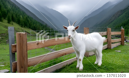 A serene white goat standing near a wooden fence, surrounded by lush greenery and majestic mountains. A peaceful scene capturing the beauty of nature and rural life. A serene white goat standing near a wooden fence, surrounded by lush greenery and majestic mountains. A peaceful scene capturing the beauty of nature and rural life. 137011020