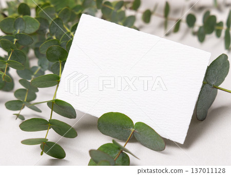 Mockup of blank card near green eucalyptus branches. Botanical wedding invitations and event design Mockup of blank card near green eucalyptus branches. Botanical wedding invitations and event design 137011128