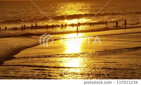 Silhouettes of people fishermen fishing standing in ocean waves on beach, enjoying activities during a vibrant golden hour sunset, with the reflecting sun creating a warm, glistening path on the water Silhouettes of people fishermen fishing standing in ocean waves on beach, enjoying activities during a vibrant golden hour sunset, with the reflecting sun creating a warm, glistening path on the water 137011239
