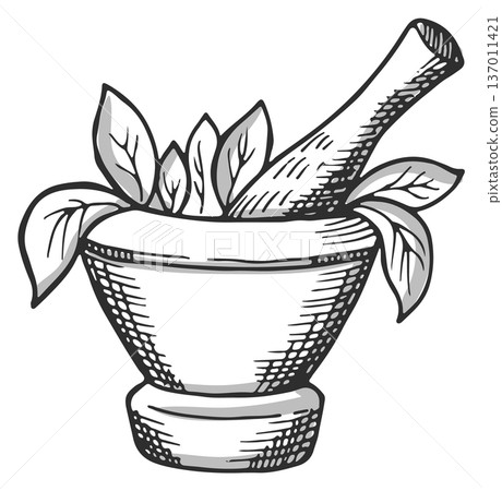 Aromatherapy drawing. Pestle and mortar with herbs sketch icon Aromatherapy drawing. Pestle and mortar with herbs sketch icon 137011421