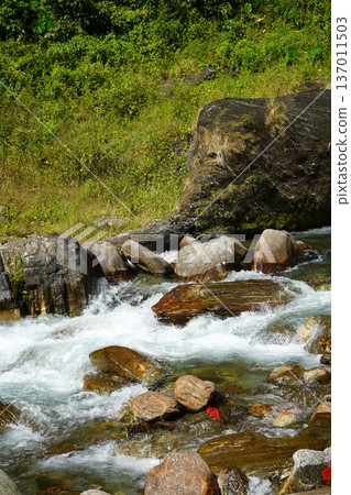 Rushing Mountain River Stream Flowing Over Colorful Rocks and Boulders Rushing Mountain River Stream Flowing Over Colorful Rocks and Boulders 137011503