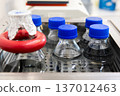 Laboratory Bottles with Samples in Incubator for Microbiological Testing 137012463