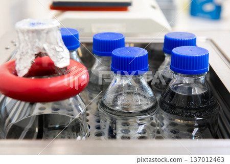 Laboratory Bottles with Samples in Incubator for Microbiological Testing Laboratory Bottles with Samples in Incubator for Microbiological Testing 137012463