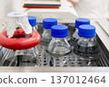 Laboratory Bottles with Samples in Incubator for Microbiological Testing 137012464
