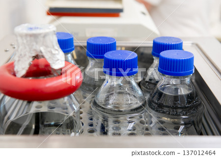 Laboratory Bottles with Samples in Incubator for Microbiological Testing 137012464