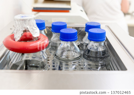 Laboratory Bottles with Samples in Incubator for Microbiological Testing 137012465