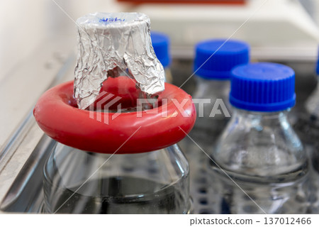 Laboratory Bottles with Samples in Incubator for Microbiological Testing 137012466