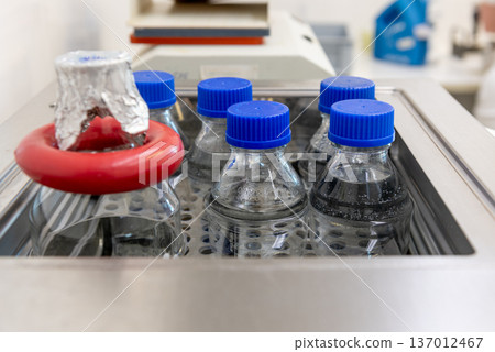 Laboratory Bottles with Samples in Incubator for Microbiological Testing Laboratory Bottles with Samples in Incubator for Microbiological Testing 137012467