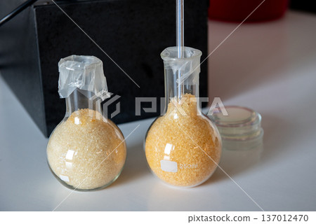 Laboratory glass flask with silica gel and thermometer for moisture control 137012470