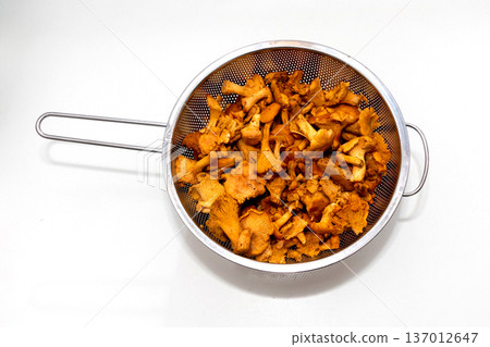 Chanterelle mushrooms in strainer 137012647
