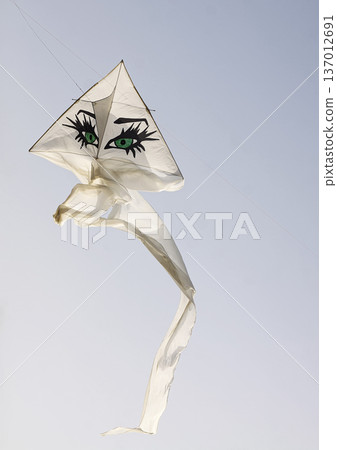 A colorful kite flies high above a park. Freedom and playful outdoor joy. 137012691