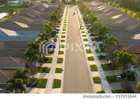 Expensive mansions between green palm trees in southwest Florida suburbs, USA. Aerial view of wealthy residential neighborhood Expensive mansions between green palm trees in southwest Florida suburbs, USA. Aerial view of wealthy residential neighborhood 137013044