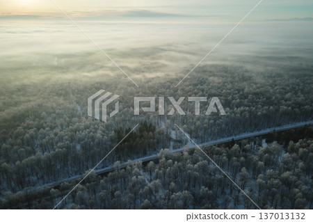 Aerial view of snow covered white forest with frozen trees in cold winter. Dense wild woodland in wintertime 137013132