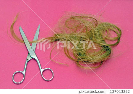 Scissors cut hair 137013252