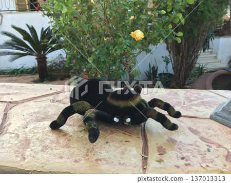 Plush spider toy on stone terrace in garden. Childhood imagination, play and decorative detail concept Plush spider toy on stone terrace in garden. Childhood imagination, play and decorative detail concept 137013313