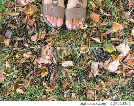 Feet in sandals standing on grass covered with fallen leaves. Autumn transition, season change and connection with nature concept Feet in sandals standing on grass covered with fallen leaves. Autumn transition, season change and connection with nature concept 137013365