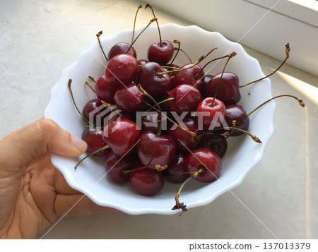 Bowl of fresh cherries held near window in daylight. Summer harvest, nutrition, freshness and healthy lifestyle concept 137013379