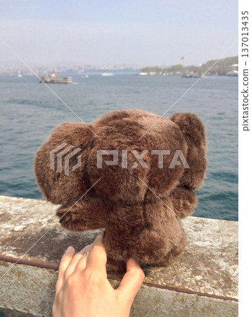 Plush toy Cheburashka facing sea on stone embankment. Solitude reflection, travel contemplation and journey perspective concept. Plush toy Cheburashka facing sea on stone embankment. Solitude reflection, travel contemplation and journey perspective concept. 137013435