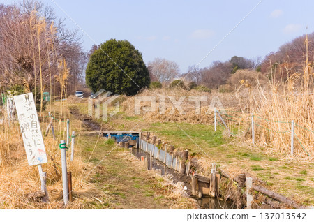 埼玉縣川口市美沼自然之家週邊，2026年2月 137013542