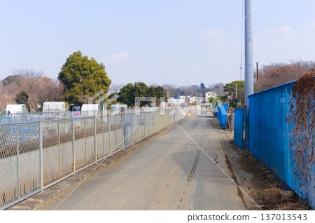 Around Minuma Nature House, Kawaguchi City, Saitama Prefecture February 2026 137013543