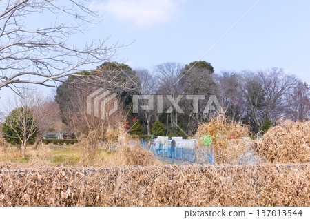 埼玉縣川口市美沼自然之家週邊，2026年2月 137013544
