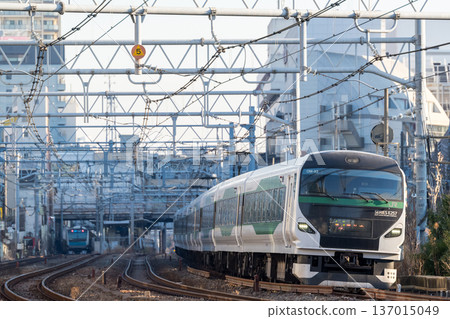 [Tokaido Main Line] Limited Express Odoriko No. 51 passing through the streets of Omori in the early morning 137015049