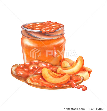 Watercolor illustration of apricot jam in a glass jar with toast bread, apricot slices isolated on white background for packaging design, jam label, organic product branding, bakery menu, healthy food Watercolor illustration of apricot jam in a glass jar with toast bread, apricot slices isolated on white background for packaging design, jam label, organic product branding, bakery menu, healthy food 137015065