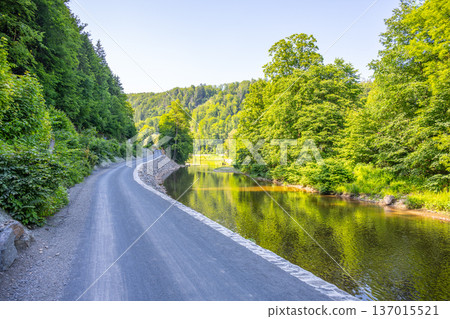 A path of Greenway Jizera runs beside the river. Lush trees line both sides, and the water reflects greenery. People can enjoy cycling or walking along the route on a clear summer day. A path of Greenway Jizera runs beside the river. Lush trees line both sides, and the water reflects greenery. People can enjoy cycling or walking along the route on a clear summer day. 137015521