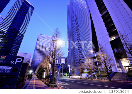 新宿副中心西新宿的財產保險日本大廈和摩天大樓的光跡和夜景 新宿副中心西新宿的財產保險日本大廈和摩天大樓的光跡和夜景 137015634