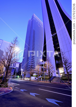 新宿副中心西新宿的財產保險日本大廈和摩天大樓的光跡和夜景 137015636