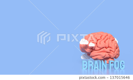 Brain Fog Concept with 3D Brain and Clouds. Brain Fog Concept with 3D Brain and Clouds. 137015646