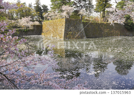 敦賀公園 137015963