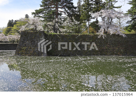 敦賀公園 敦賀公園 137015964