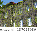 A captivating view of nature reclaiming a house. Beauty of greenery enveloping architecture 137016039